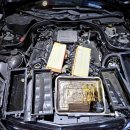 블루모터스(BLUE MOTORS) 이미지