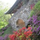 바보온달 이미지