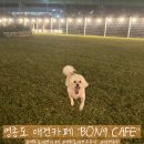 백운로 | 영종도 잔디운동장 애견카페 내돈내산 후기 : 봉구카페