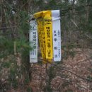 곡성-219 이미지