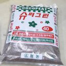 청농슈퍼