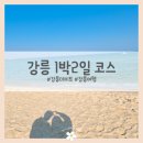 옥류정펜션가든 | 강릉 데이트 가볼만한곳 카페 맛집 숙소 1박2일 여행지