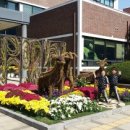 서구청사 이미지