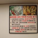감포참가자미 이미지