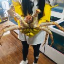 매니아수족관 이미지
