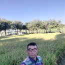 장미원 당구장 이미지