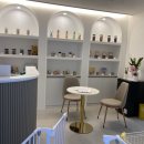 디오펫살롱 이미지