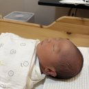 벌말로R | 4개월 아기 단두 교정 헬멧 | 안산 단원병원 안양 에이스밴드 상담부터 착용까지(가격 및 할인 정보)