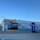 오동도유람선 | 🌊🌺겨울 여수 여행, 오동도 유람선과 산책으로 즐긴 하루!