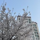 의정부3동경로당 이미지