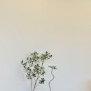 승모근 뿌셔뿌셔! 데콜테 관리 맛집 안양 디어유테라피 Dear U Therapy 내돈내산 솔직후기!