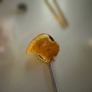 한성2차(아) | 매일 술 먹던 약골의 최후... 일상로그 3월 편