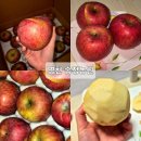 송정농장 | ​[경북 영천] 설선물/과일선물/상견례선물-송정농원 부사 사과 내돈내산후기 🍎