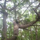 서암마을 이미지