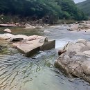 솔향기힐링펜션 | 속리산의 힐링 그 자체! 솔향기펜션 꼭 가봐야 하는 이유