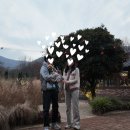 댕띠끄 이미지