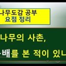 어떤나무K