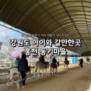 앵무새통신 | 강원도 홍천 여행 동키마을 체험 총 정리ㅣ당나귀타기, 비누만들기, 먹이주기 체험 찐 후기