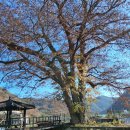 사현마을회관 이미지