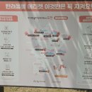 초가옥 이미지
