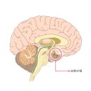 양평병원 이미지