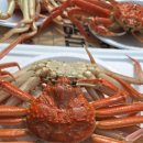 영덕대게 이미지