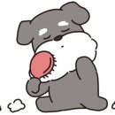 블랑갸또 이미지