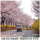 마포 하늘공원 벚꽃 구경 맹꽁이 전기차 주차 이용방법