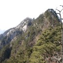 82회차 험프리 산악회 정기산행 2023년 5월 6일(토요일) 충북충주 포암산(962m) 산행신청받습니다. 이미지