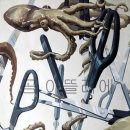 아뜰리에미술학원 - 안산시 단원구 원초로 41 | 아뜰리에미술학원