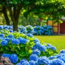 드라이빙제주 - 제주시 남성로 98-1 | 드라이빙제주