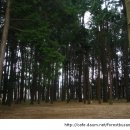 제83회 숲 생태탐방-양산 법기 수원지(오전팀 마감) 이미지