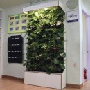 화도마리지역아동센터 이미지