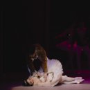 문예회관과 함께하는 방방곡곡 문화공감 사업민간예술단체, 잠자는숲속의 미녀 이미지