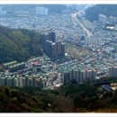 하단동242 이미지