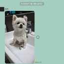 Re: 쿠팡사태로 인해 국민 3770만명이 불안하고 염려가운데 있는데요... 이미지