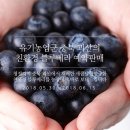 예성유기농