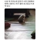 과제? 어저라구어쩌라구