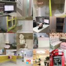 용강동물병원 이미지