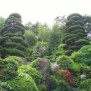 금강(부산) 이미지