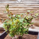 사계 영농조합법인 이미지