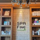 함지박사거리 브레덴코앞 | 서래마을 힐링공간, 스파파인 하체테라피 후기