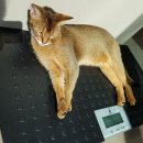 송도건국동물병원 이미지