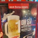 포항 효자동 술집 역전 할머니 맥주 1982 역시 믿고 먹기 좋았다