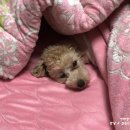 고지소류지 이미지