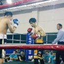 액티브 복싱클럽 이미지