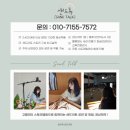 [경남 샌드아트] 통영 거제 대학교 유치원 샌드아트 공연&amp;체험