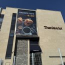 카페243 | 분당 율동공원 베이커리 카페 땡스얼랏 다녀온 내돈내산 솔직후기