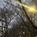 [블챌#16]12월 셋째주