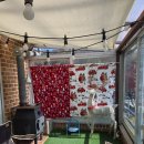 에코키즈스테이 이미지